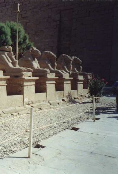 Аллея сфинксов перед храмом в Луксоре