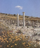 Античный город Аматус