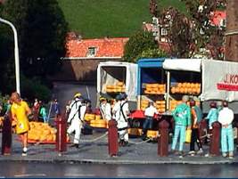 Сырный рынок в Алкмаре