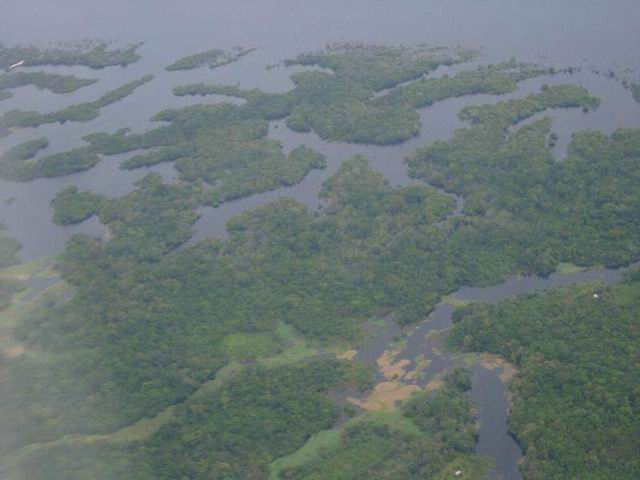 Многочисленные острова на реке Амазонке