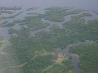 Многочисленные острова на реке Амазонке